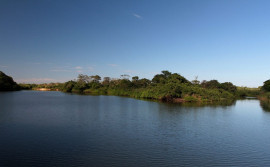 Governo do Tocantins avança com agenda ambiental e o Estado pode ser o primeiro a vender créditos de carbono florestal jurisdicional