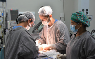 Técnicos da SES-TO participam de treinamento sobre o Sistema Nacional de Transplantes