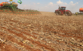 Secretaria da Agricultura alerta produtores para acompanhamento diário das condições do tempo