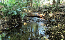 Governo do Tocantins orienta municípios para declaração das ações executadas do ICMS Ecológico