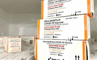 Tocantins receberá nova remessa de vacinas da Pfizer adulto