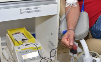 Dia Nacional do Doador de Sangue: programação especial marca semana em Palmas