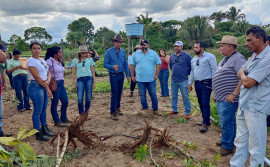 Ruraltins realiza Dia de Campo para fomentar e desenvolver cadeias da mandiocultura e olericultura na região do médio norte tocantinense