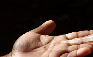 Saúde promove curso de Atualização em Vigilância, Diagnóstico e Manejo Clínico em Chikungunya.