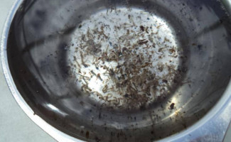 Saúde inicia Semana Estadual de Prevenção e Controle das Arboviroses Urbanas