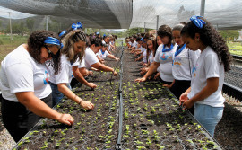 Governo do Tocantins destaca o papel feminino na gestão dos recursos hídricos durante o evento Mulheres das Águas