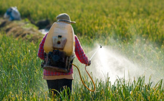 Dia Internacional de Luta Contra os Agrotóxicos chama atenção para os riscos de intoxicação
