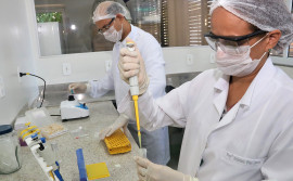 Governo do Tocantins investe mais de R$ 8 milhões em ciência, tecnologia e inovação