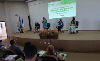 Tocantins está em alerta para casos de Chikungunya
