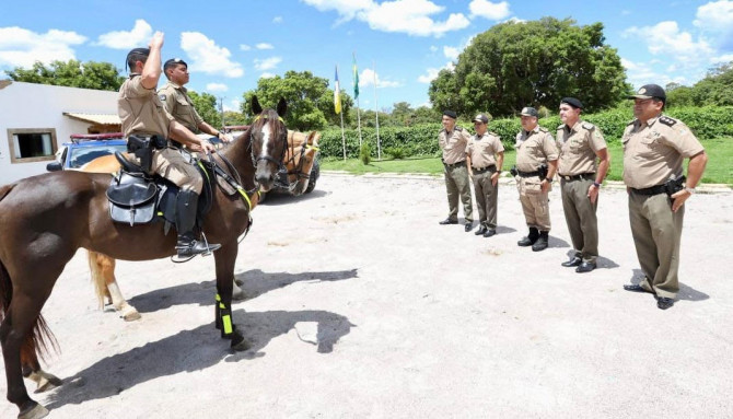 CAVALARIA  Conheça o Regimento de Polícia Montada da PMPR 