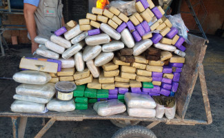 Polícia Civil incinera mais de 200kg de drogas em Paraíso do Tocantins