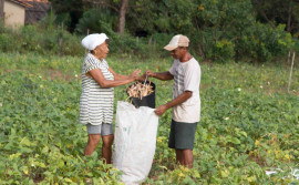 Governo do Tocantins auxilia 918 famílias de agricultores tocantinenses para serem beneficiadas no Programa Nacional de Crédito Fundiário em 2022