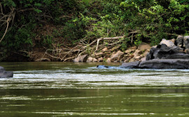 Governo do Tocantins é destaque nos âmbitos nacional e internacional na gestão do Meio Ambiente e Recursos Hídricos em 2022