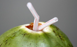 Governador Wanderlei Barbosa sanciona lei que proíbe o fornecimento e o uso de canudos de plástico não biodegradável no Tocantins