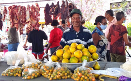 Com a proposta de ampliar ações, Ruraltins inicia 2023 com a execução do Plano Ater Tocantins