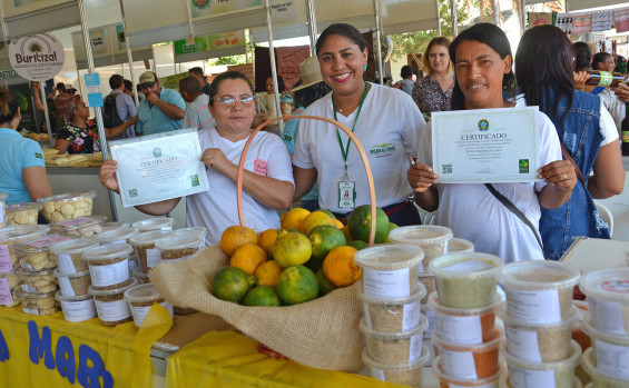 Com a proposta de ampliar ações, Ruraltins inicia 2023 com a execução do Plano Ater Tocantins