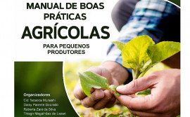 Manual de Boas Práticas Agrícolas traz receitas de inseticidas e adubos caseiros