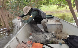 Equipes de fiscalização do Naturatins recolhem redes de pesca e pescado ilegal