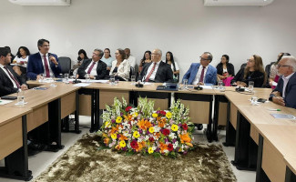 Secretário Afonso Piva destaca ações do Governo do Tocantins em reunião do CEMAS