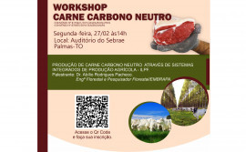 Governo do Tocantins e parceiros abrem inscrições para Workshop Carne Carbono Neutro