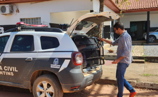 Autor de latrocínio tentado é indiciado e preso pela Polícia Civil em Taguatinga