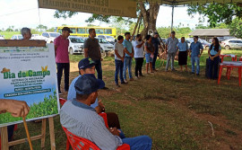 Ruraltins e parceiros promovem Dia de Campo sobre Sistema de Integração Milho e Pastagem