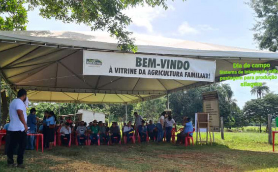 Ruraltins e parceiros promovem Dia de Campo sobre Sistema de Integração Milho e Pastagem