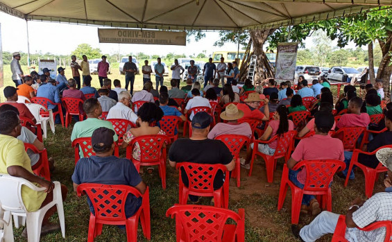 Ruraltins e parceiros promovem Dia de Campo sobre Sistema de Integração Milho e Pastagem