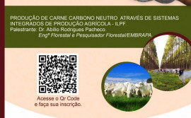 Governo do Tocantins e parceiros realizam Workshop Carne Carbono Neutro 
