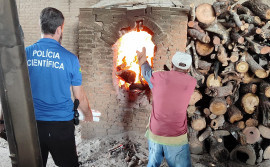 Polícia Civil promove a incineração de mais de 120 kg de substâncias entorpecentes em Guaraí