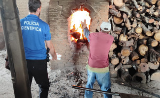 Polícia Civil promove a incineração de mais de 120 kg de substâncias entorpecentes em Guaraí   
