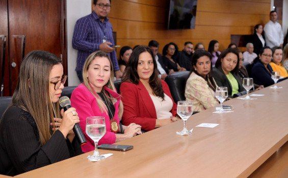 Governo do Tocantins lança aplicativo de combate à violência doméstica, 