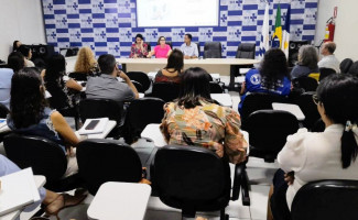 Tocantins recebe apoio técnico do Ministério da Saúde para conter as arboviroses