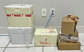 Adapec alerta a população sobre as regras de trânsito de produtos de origem animal e vegetal via Correios