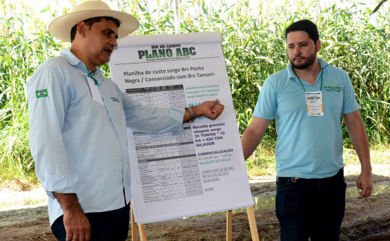 Ruraltins realiza Dia de Campo e mostra custo benefício em Sistema de Integração Lavoura-Pecuária