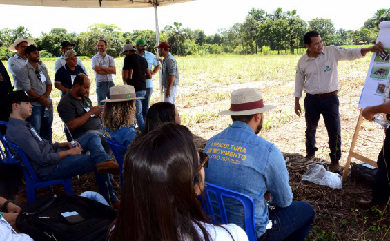 Ruraltins realiza Dia de Campo e mostra custo benefício em Sistema de Integração Lavoura-Pecuária