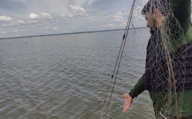 Naturatins recolhe redes e pescado em ação fiscalizatória