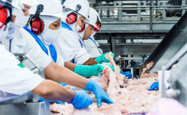 Empresas com registro no SIE têm até sexta-feira, 31, para fazer recadastramento na Adapec