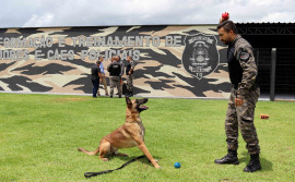 Seciju inaugura Centro de Formação e Treinamento de Operações e Cães Policiais
