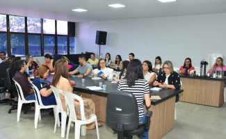 SES-TO apresenta plano para reestruturação da Rede de Atenção Psicossocial