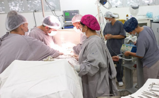 Governo do Tocantins bate recordes de cirurgias eletivas para mulheres, em março
