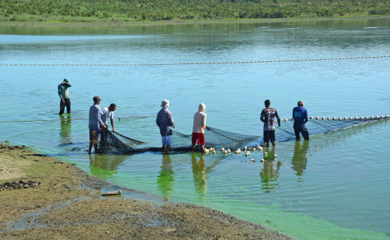 Região do Bico do Papagaio, extremo norte do Tocantins, desponta como novo polo de piscicultura no Estado