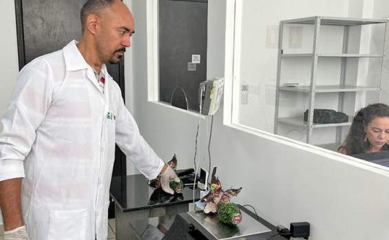 Agência de Metrologia realiza testes laboratoriais em produtos de Páscoa e aprova 100% das marcas testadas