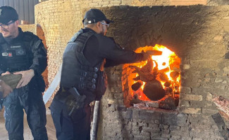 Em Dueré, Polícia Civil promove a incineração de mais de 160 kg de substâncias entorpecentes 