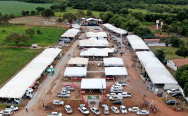 Governo do Tocantins integra programação da 7ª Agrosudeste