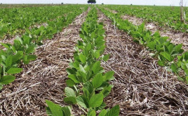 Governo do Tocantins realiza encontro em comemoração ao Dia Nacional de Conservação do Solo