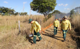 Naturatins apresenta ações de prevenção e combate aos incêndios florestais no Jalapão