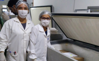 Hemorrede do Tocantins envia primeira remessa de plasma excedente para a Hemobrás