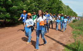 Ruraltins promove Dia de Campo de Fruticultura na Agrosudeste
