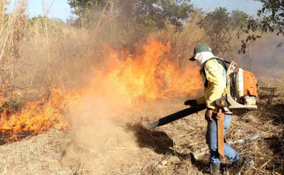 Em seus 34 anos de criação, Naturatins alia uso racional de recursos ambientais e desenvolvimento sustentável